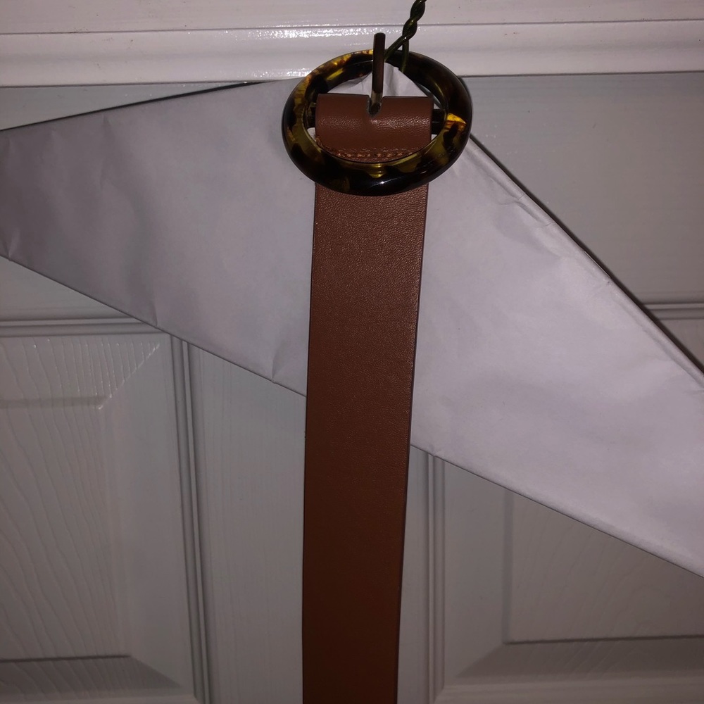 Brown belt with tortoise buckle